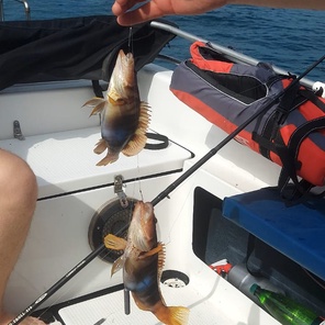 Рыбалка в открытом море на Большом Утрише