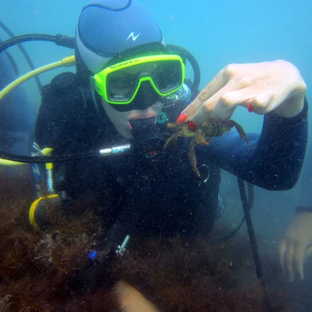 Дайвинг на Малом Утрише