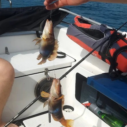 Рыбалка в открытом море на Большом Утрише